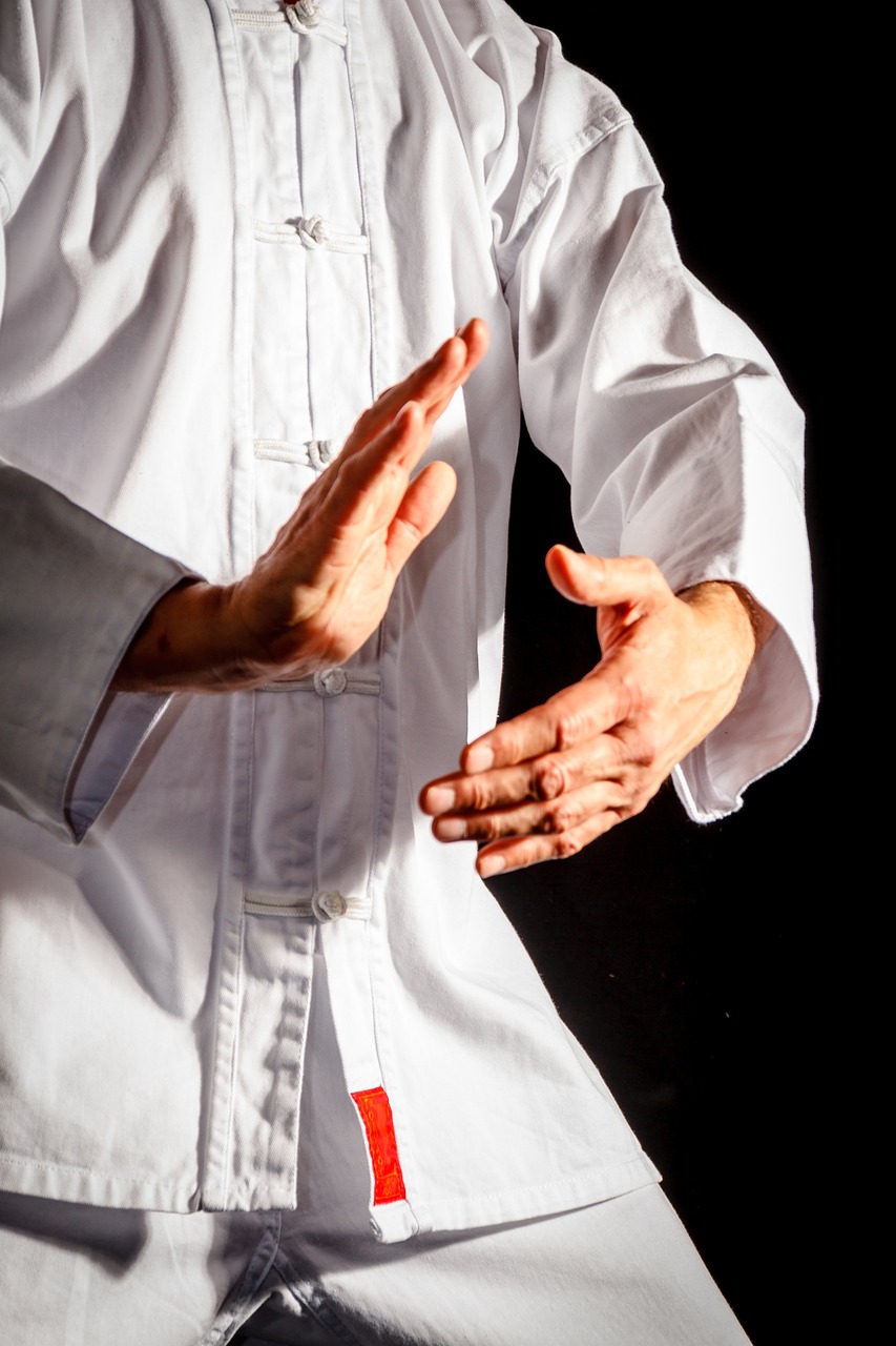 About Tai Chi Chuan